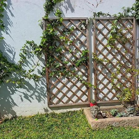 Casa Do Moinho De Vento